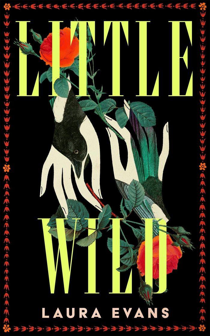 Couverture du livre « LITTLE WILD », librairie Les Contes Infusés à Corte