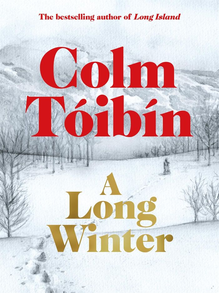 Couverture du livre « A LONG WINTER » de Colm Toibin, librairie Les Contes Infusés à Corte