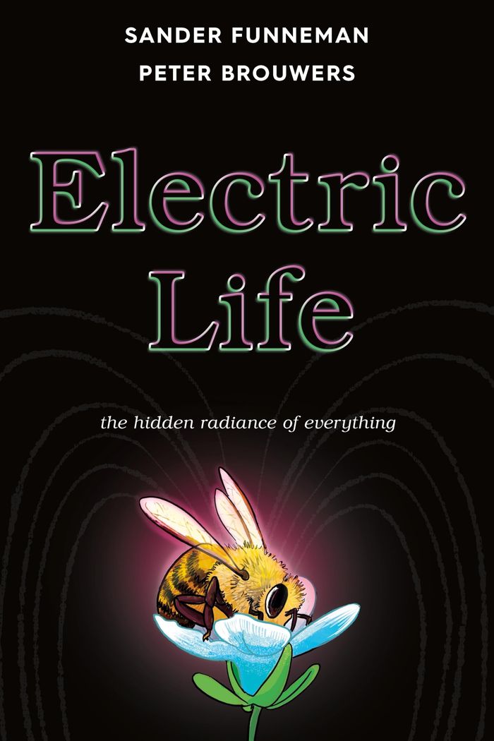 Couverture du livre « ELECTRIC LIFE - THE HIDDEN RADIANCE OF EVERYTHING » de Funneman/brouwers, librairie Les Contes Infusés à Corte