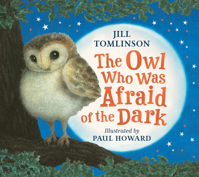 Couverture du livre « THE OWL WHO WAS AFRAID OF THE DARK » de Tomlinson/howard, librairie Les Contes Infusés à Corte