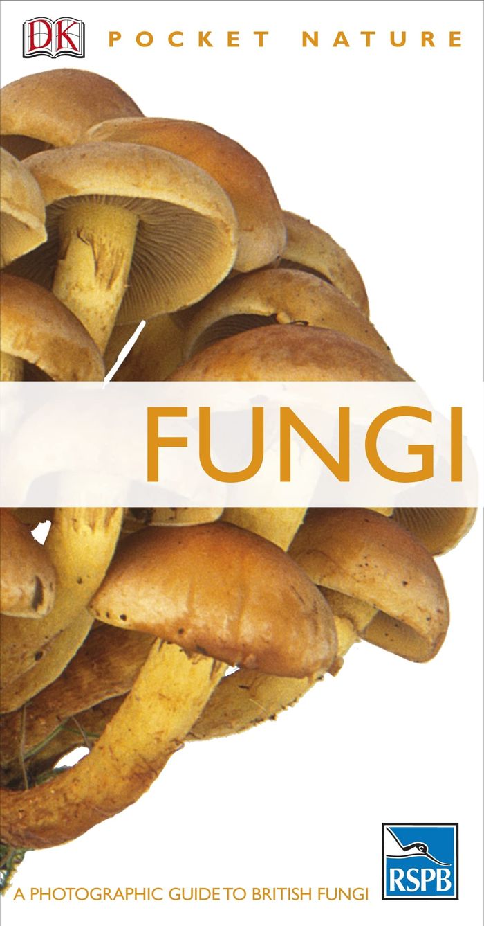 Couverture du livre « RSPB POCKET NATURE FUNGI » de Dk, librairie Les Contes Infusés à Corte