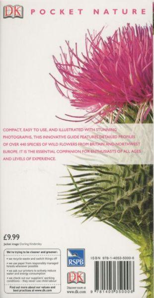 Quatrième de couverture de « WILD FLOWERS »