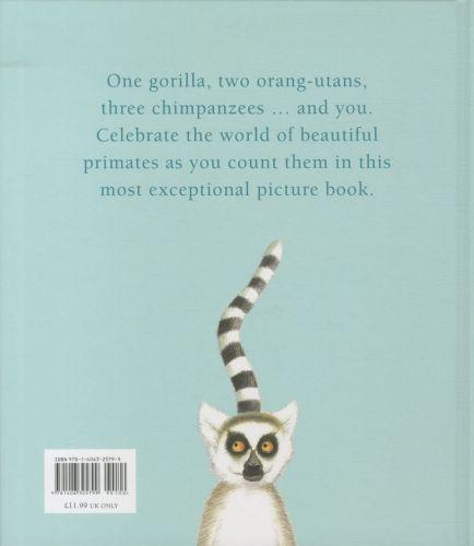 Quatrième de couverture de « ONE GORILLA »