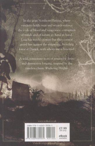 Quatrième de couverture de « BLACK SPRING »