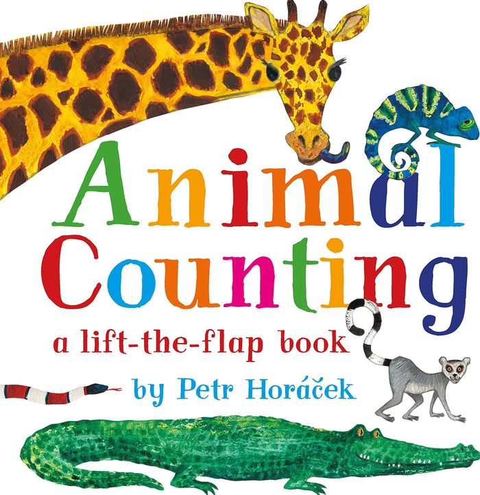 Couverture du livre « ANIMAL COUNTING » de Horacek, Petr, librairie Les Contes Infusés à Corte