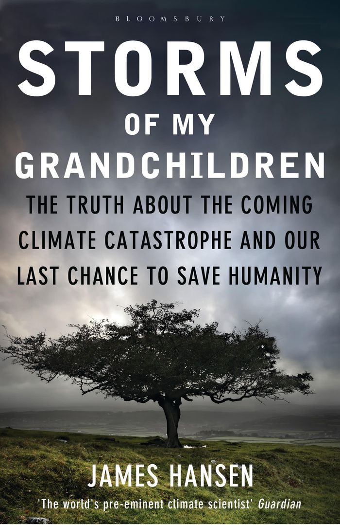 Couverture du livre « STORMS OF MY GRANDCHILDREN » de Hansen, James, librairie Les Contes Infusés à Corte