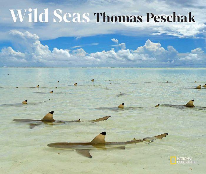 Couverture du livre « WILD SEAS » de Peschak Thomas P., librairie Les Contes Infusés à Corte
