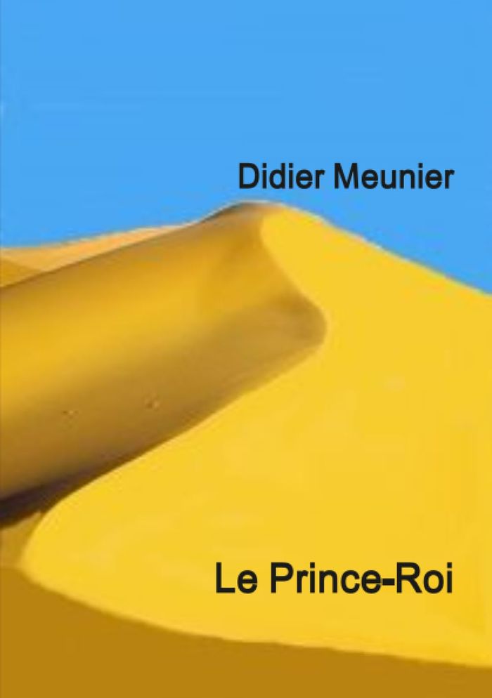 Couverture du livre « LE PRINCE-ROI » de Didier Meunier, librairie Les Contes Infusés à Corte