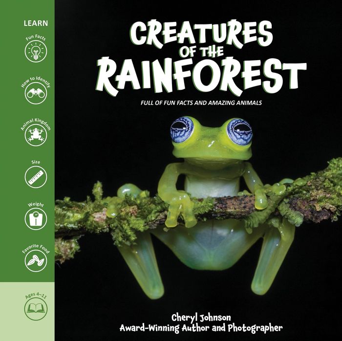 Couverture du livre « CREATURES OF THE RAINFOREST » de Cheryl Johnson, librairie Les Contes Infusés à Corte