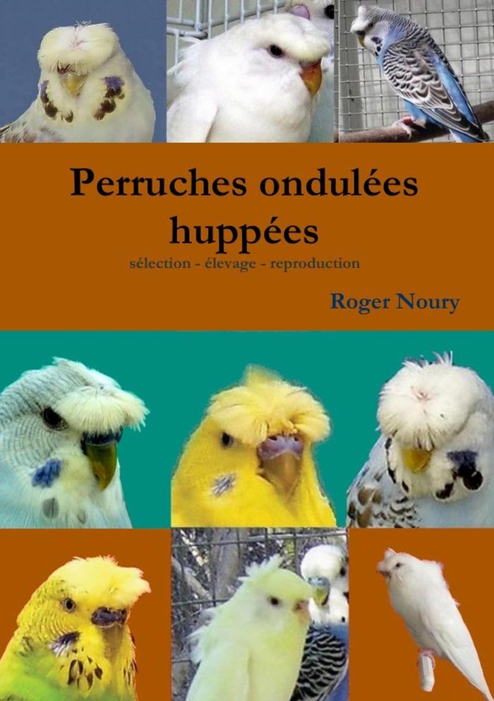 Couverture du livre « LES PERRUCHES ONDULEES HUPPEES SELECTION - ELEVAGE - REPRODUCTION », librairie Les Contes Infusés à Corte
