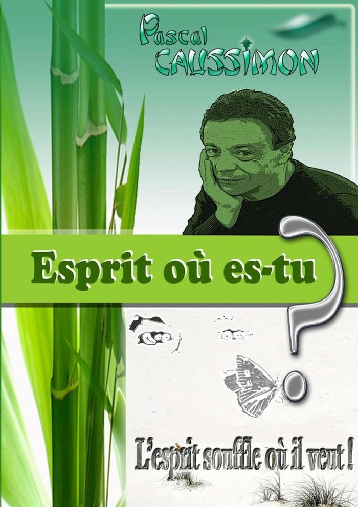 Couverture du livre « ESPRIT OU ES-TU ? - L'ESPRIT SOUFFLE OU IL VEUT ! » de Pascal Caussimon, librairie Les Contes Infusés à Corte