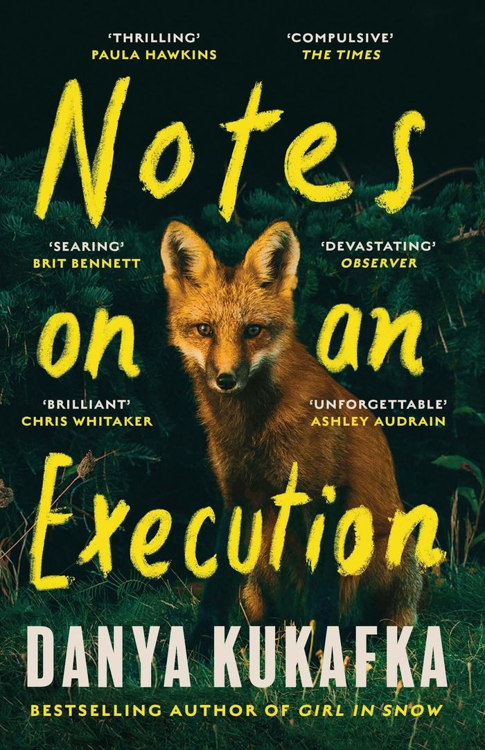 Couverture du livre « NOTES ON AN EXECUTION - THE BESTSELLING THRILLER THAT EVERYONE IS TALKING ABOUT », librairie Les Contes Infusés à Corte