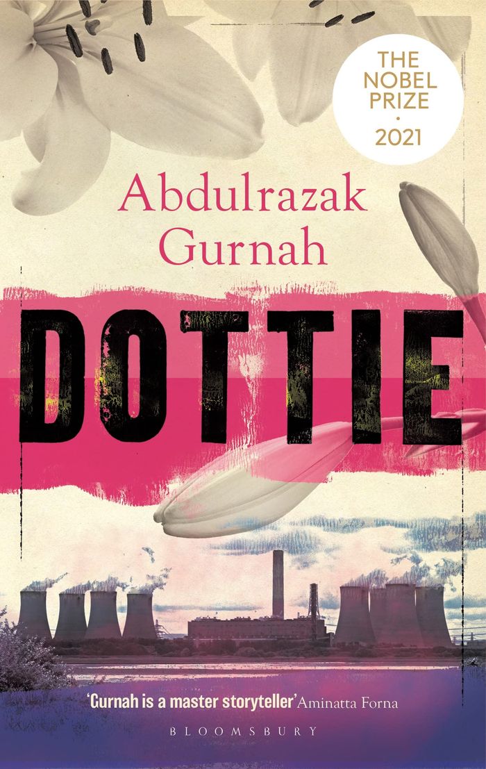 Couverture du livre « DOTTIE - BY THE WINNER OF THE NOBEL PRIZE IN LITERATURE 2021 » de Abdulrazak Gurnah, librairie Les Contes Infusés à Corte