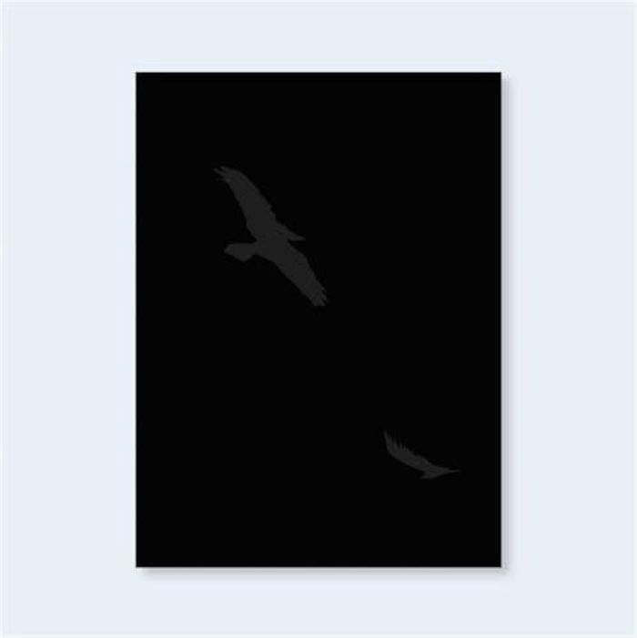Couverture du livre « RJ MUNA FLEETING GESTURES /ANGLAIS » de Xxx, librairie Les Contes Infusés à Corte