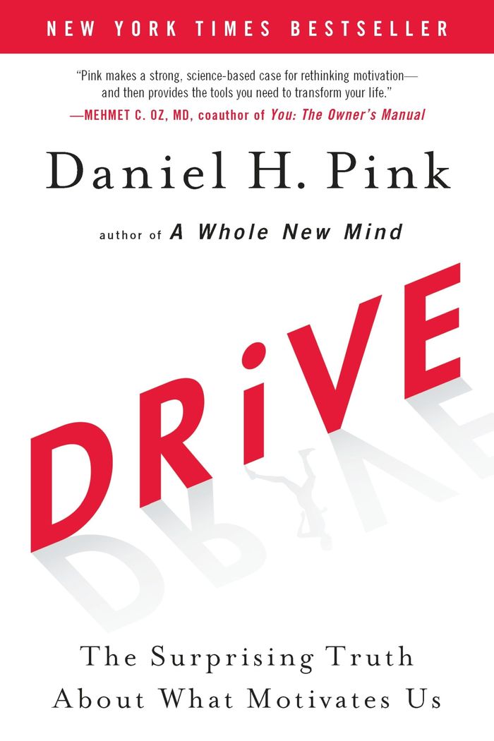 Couverture du livre « DRIVE - THE SURPRISING TRUTH ABOUT WHAT MOTIVATES US » de Pink Daniel H., librairie Les Contes Infusés à Corte