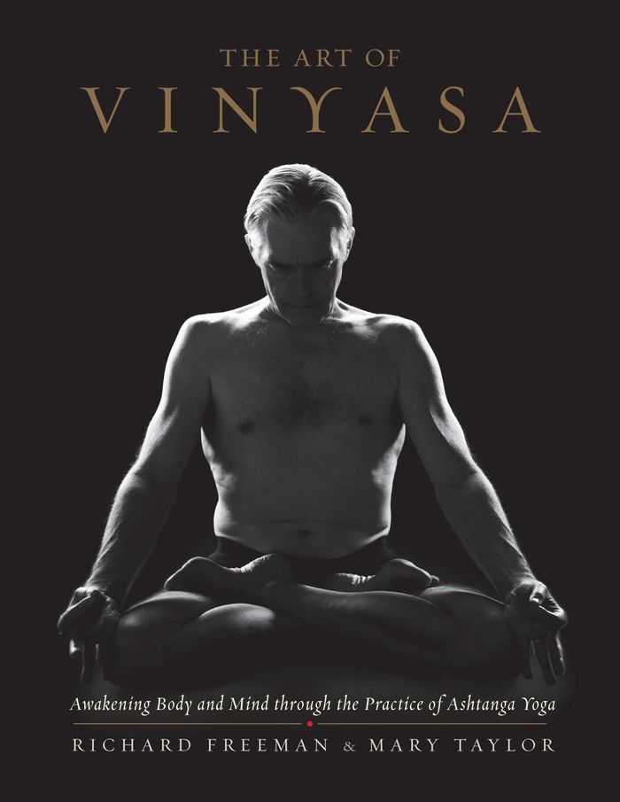 Couverture du livre « THE ART OF VINYASA - AWAKENING BODY AND MIND THROUGH THE PRACTICE OF ASHTANGA YOGA » de Freeman/taylor, librairie Les Contes Infusés à Corte