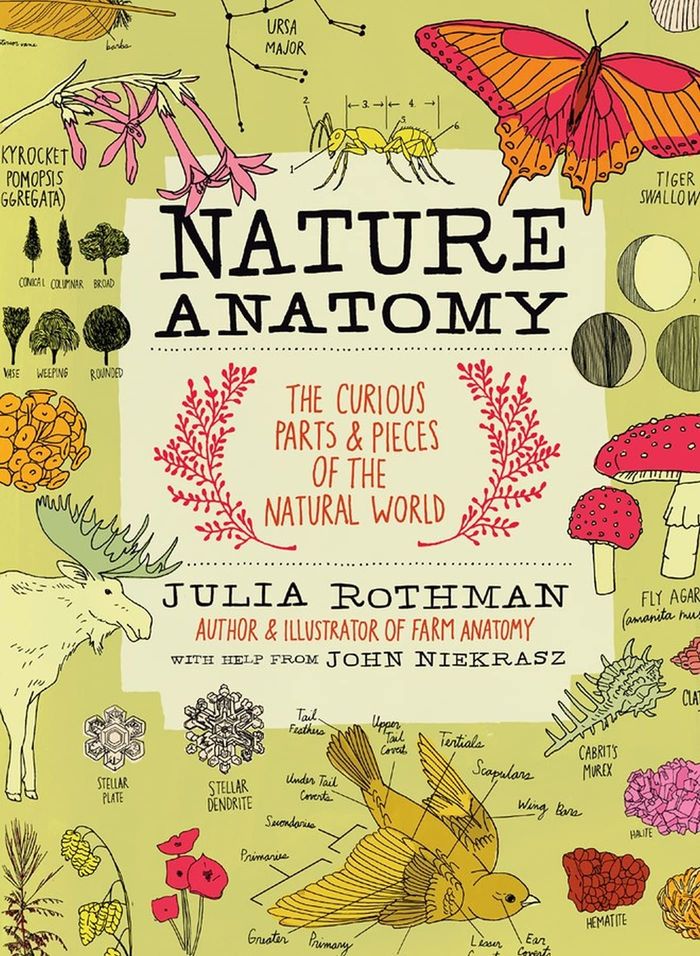 Couverture du livre « NATURE ANATOMY - THE CURIOUS PARTS AND PIECES OF THE NATURAL WORLD » de Julia Rothman, librairie Les Contes Infusés à Corte