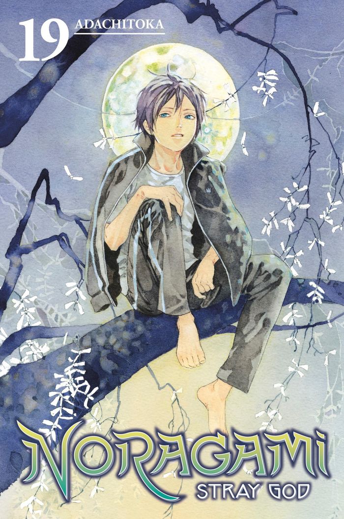 Couverture du livre « NORAGAMI: STRAY GOD 19 », librairie Les Contes Infusés à Corte