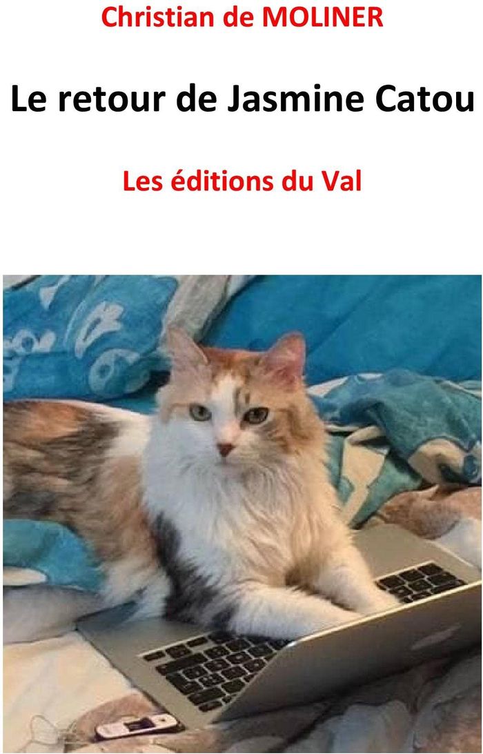 Couverture du livre « LES ENQUETES DE JASMINE CATOU - T02 - LE RETOUR DE JASMINE CATOU - LES EDITIONS DU VAL » de De Moliner Christian, librairie Les Contes Infusés à Corte