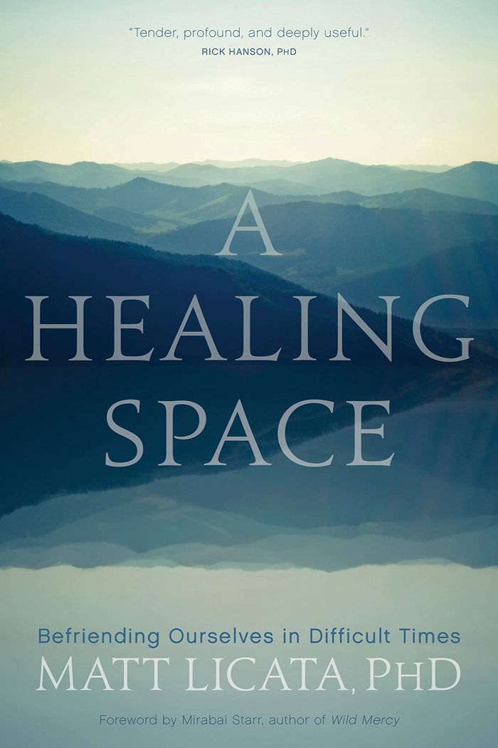 Couverture du livre « A HEALING SPACE - BEFRIENDING OURSELVES IN DIFFICULT TIMES » de Matt Licata, librairie Les Contes Infusés à Corte