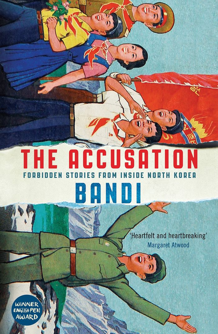 Couverture du livre « THE ACCUSATION » de Bandi, librairie Les Contes Infusés à Corte