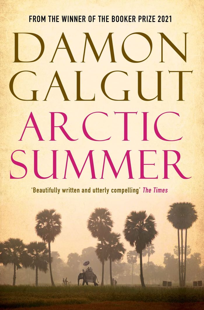 Couverture du livre « ARCTIC SUMMER - AUTHOR OF THE 2021 BOOKER PRIZE-WINNING NOVEL THE PROMISE » de Damon Galgut, librairie Les Contes Infusés à Corte
