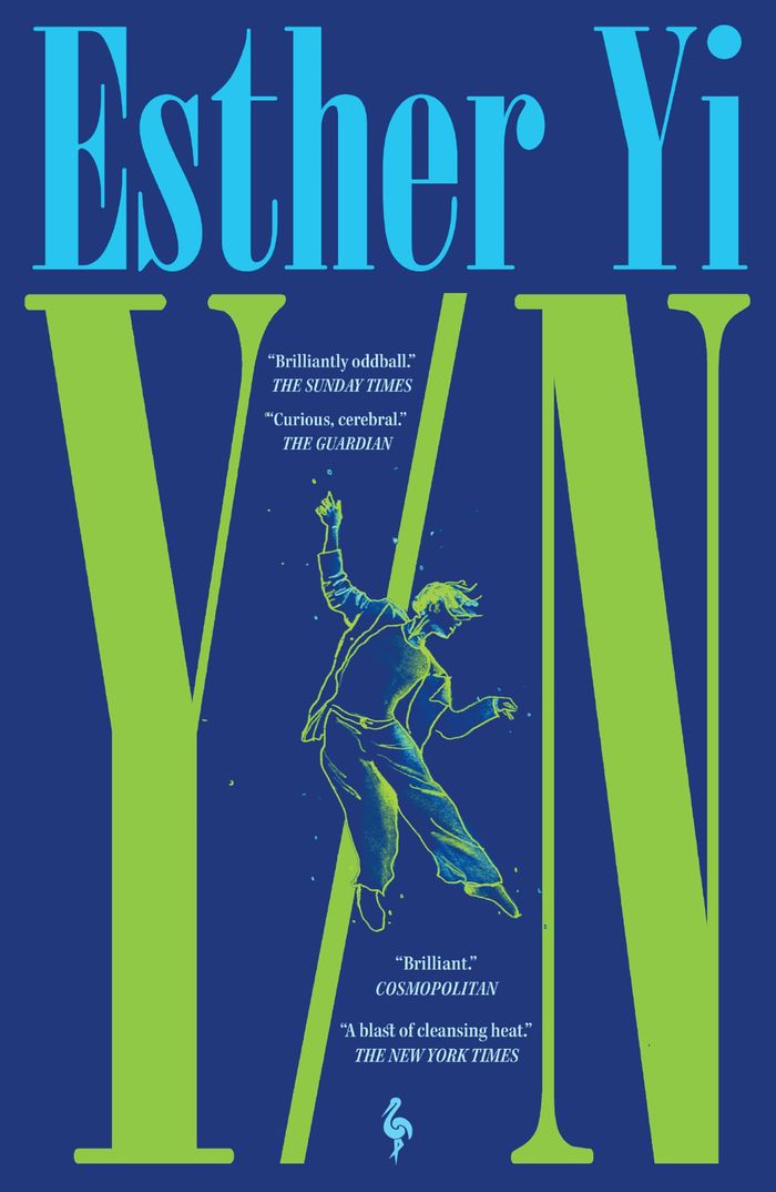 Couverture du livre « Y/N », librairie Les Contes Infusés à Corte
