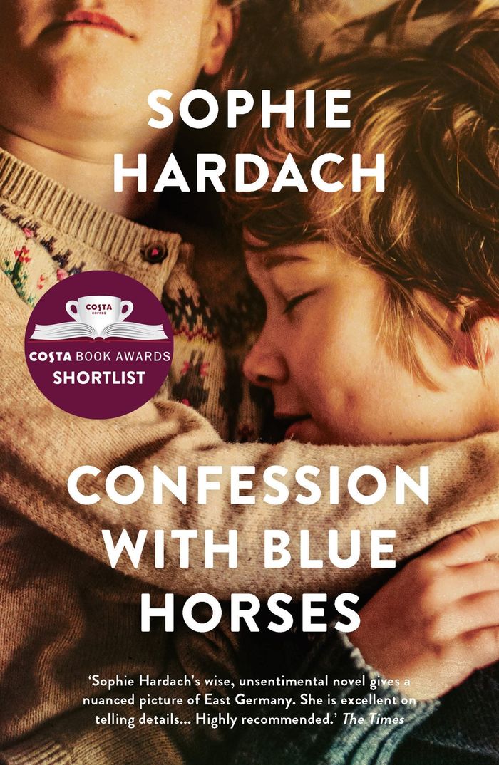 Couverture du livre « CONFESSION WITH BLUE HORSES », librairie Les Contes Infusés à Corte