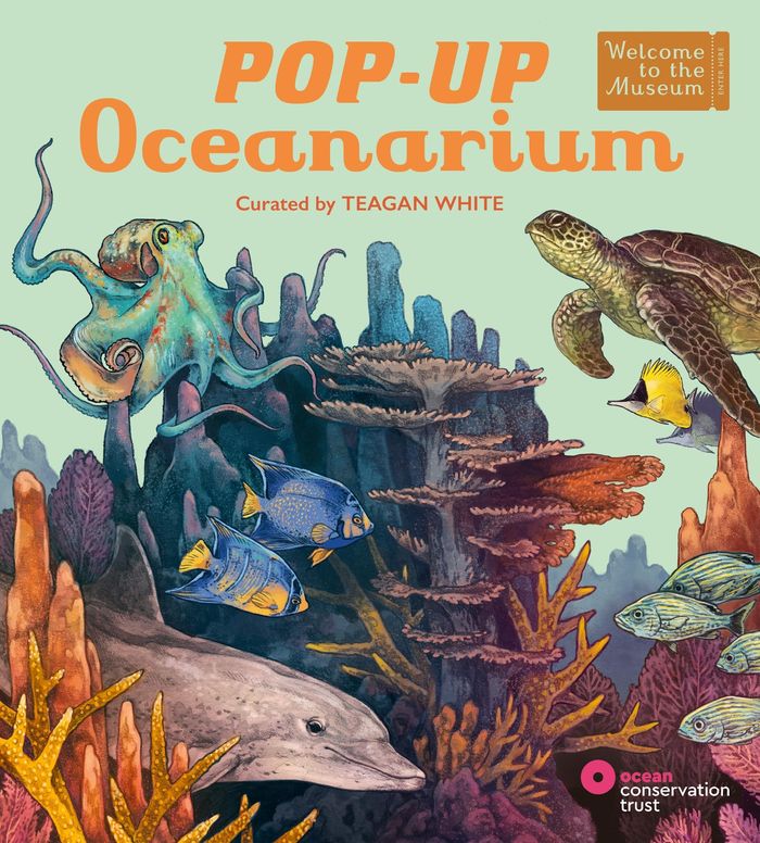 Couverture du livre « POP-UP OCEANARIUM - AN INTERACTIVE WELCOME TO THE MUSEUM POP-UP FOR YOUNG READERS » de White/trinick, librairie Les Contes Infusés à Corte