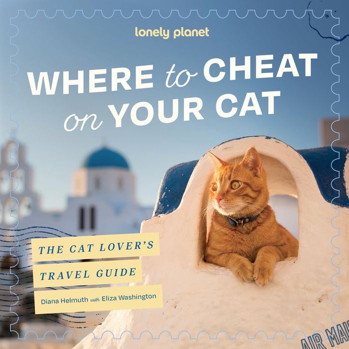 Couverture du livre « WHERE TO CHEAT ON YOUR CAT -ANGLAIS- », librairie Les Contes Infusés à Corte