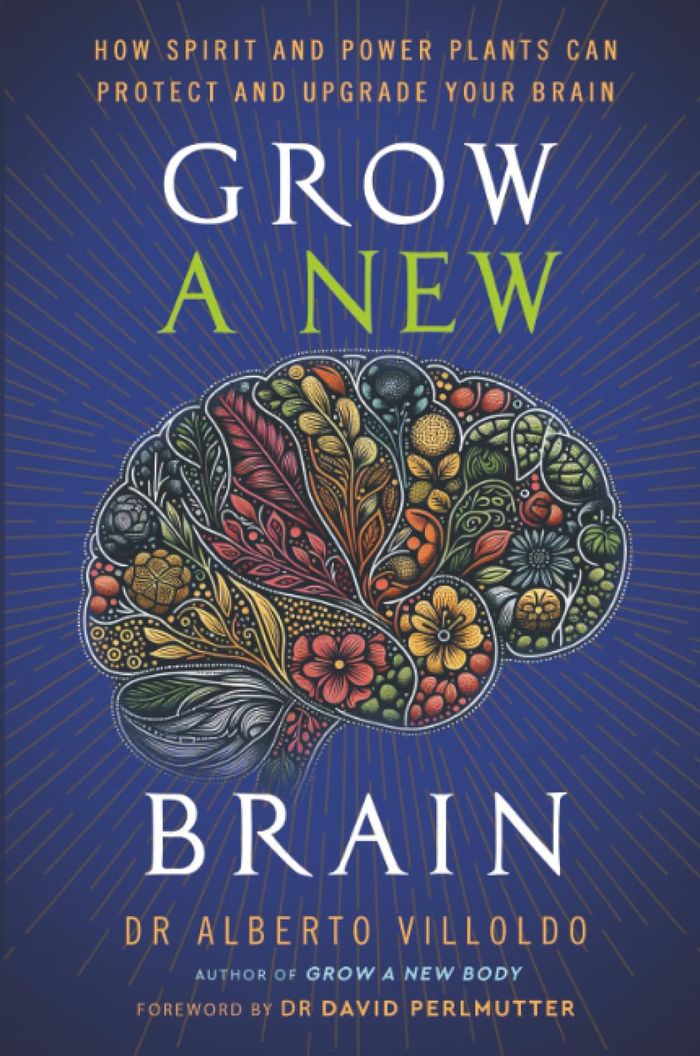 Couverture du livre « GROW A NEW BRAIN - HOW SPIRIT AND POWER PLANTS CAN PROTECT AND UPGRADE YOUR BRAIN » de Alberto Villoldo, librairie Les Contes Infusés à Corte