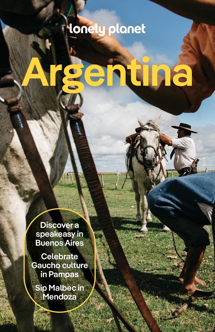 Couverture du livre « ARGENTINA 14ED -ANGLAIS- » de Lonely Planet Eng, librairie Les Contes Infusés à Corte