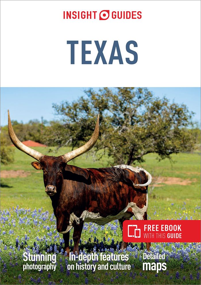 Couverture du livre « INSIGHT GUIDES MAIN SERIES - INSIGHT GUIDES TEXAS: TRAVEL GUIDE WITH EBOOK », librairie Les Contes Infusés à Corte