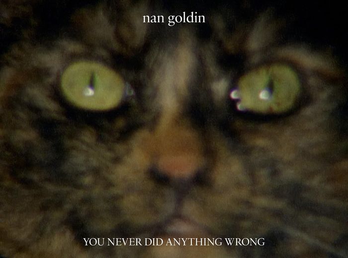 Couverture du livre « NAN GOLDIN YOU NEVER DID ANYTHING WRONG /ANGLAIS », librairie Les Contes Infusés à Corte