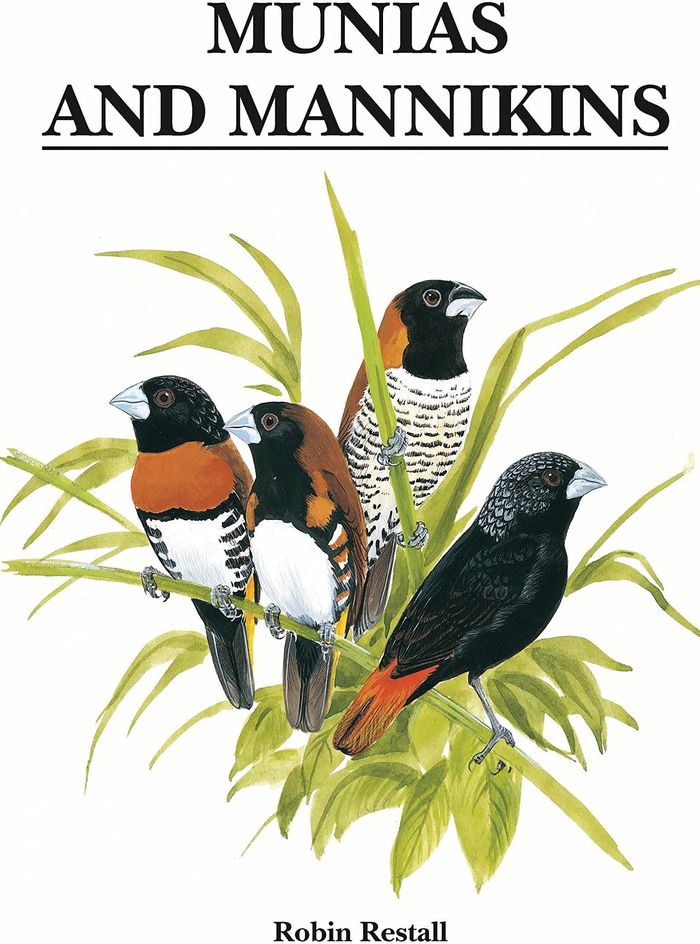 Couverture du livre « MUNIAS AND MANNIKINS », librairie Les Contes Infusés à Corte