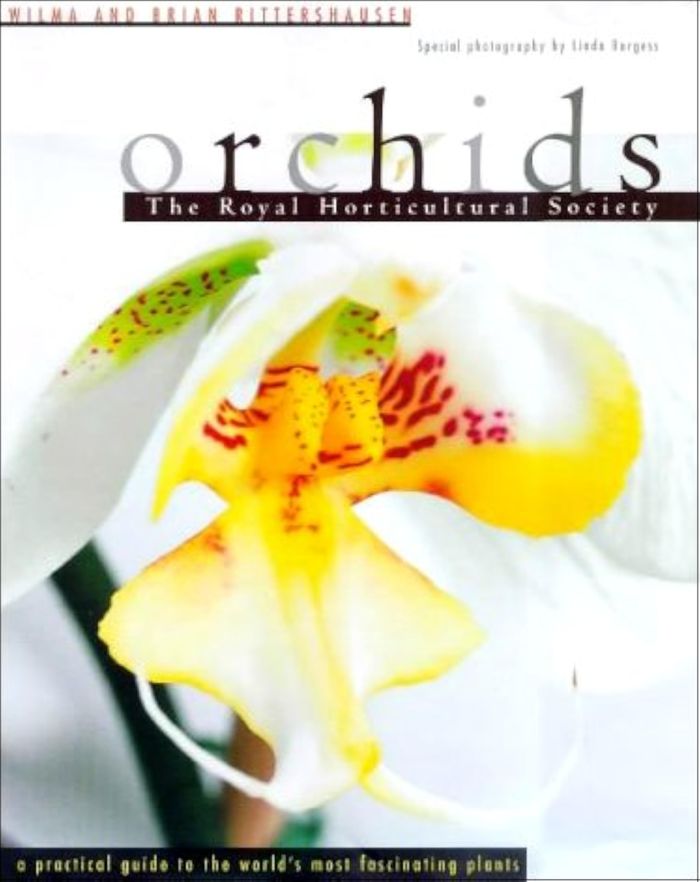 Couverture du livre « ORCHIDS/A PRACTICAL GUIDE » de Xxx, librairie Les Contes Infusés à Corte