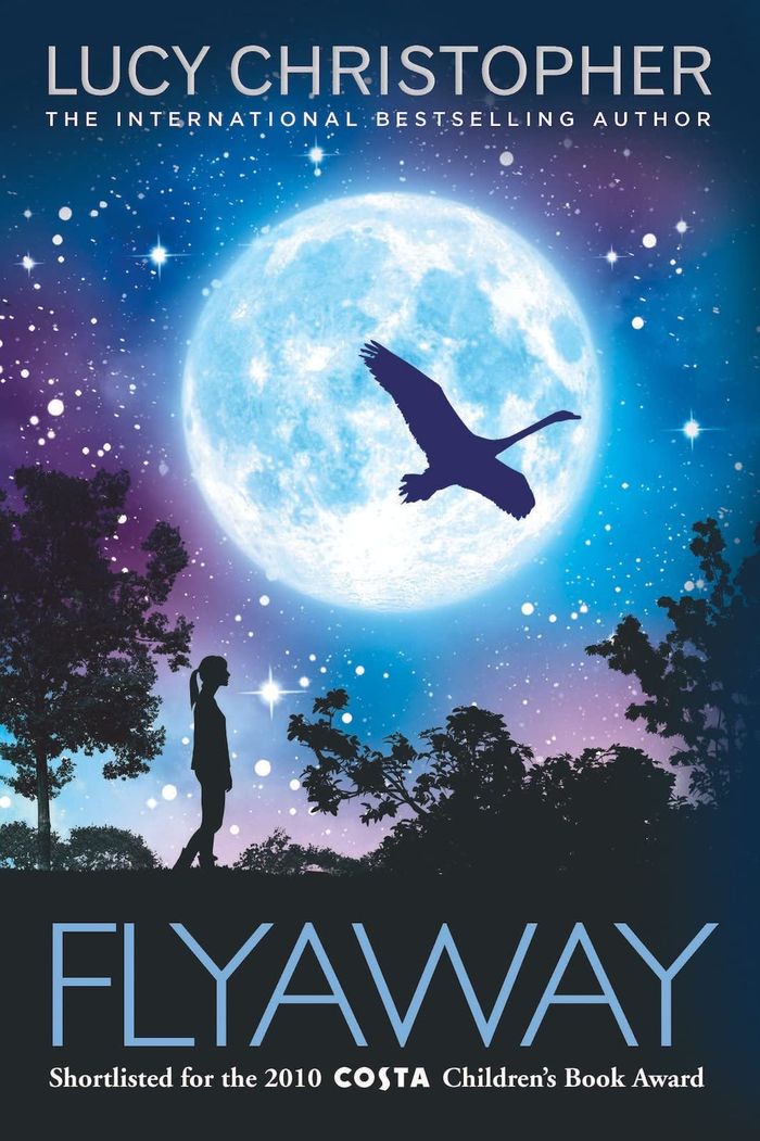Couverture du livre « FLYAWAY » de Christopher, Lucy, librairie Les Contes Infusés à Corte