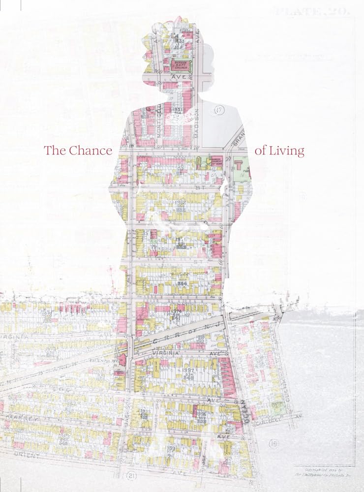 Couverture du livre « BRIAN W. FRASER: THE CHANCE OF LIVING /ANGLAIS » de Fraser Brian W., librairie Les Contes Infusés à Corte