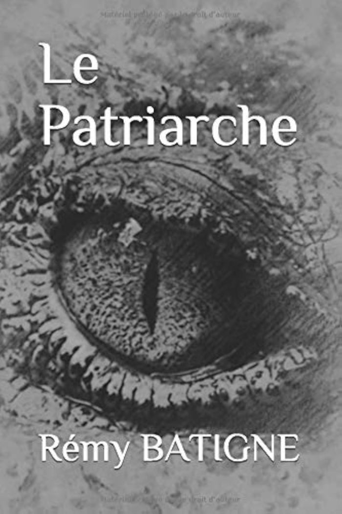 Couverture du livre « LE PATRIARCHE » de Remy Batigne, librairie Les Contes Infusés à Corte