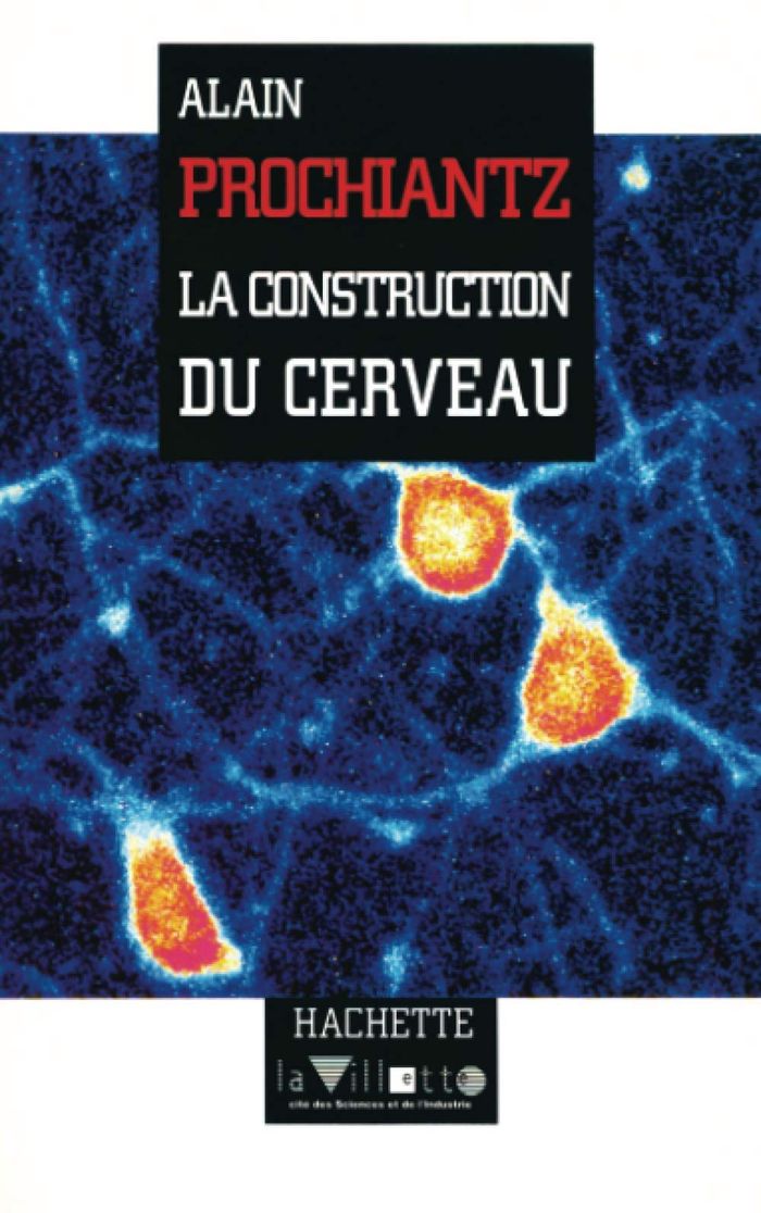 Couverture du livre « LA CONSTUCTION DU CERVEAU » de Alain Prochiantz, librairie Les Contes Infusés à Corte