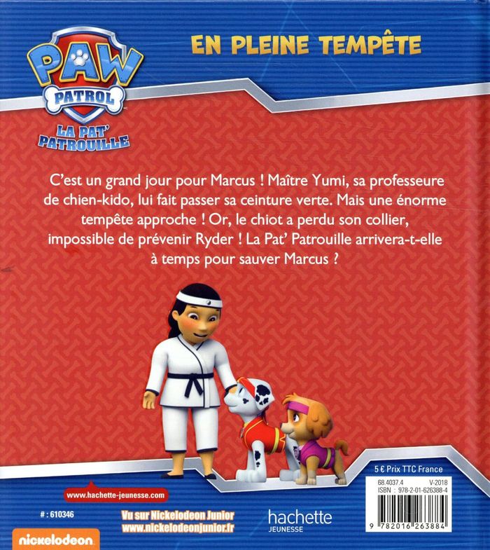 Quatrième de couverture de « En pleine tempête »