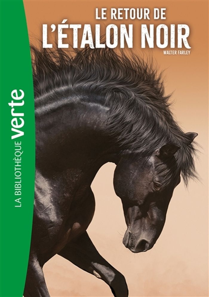 Couverture du livre « L'ETALON NOIR - T02 - L'ETALON NOIR 02 NED - LE RETOUR DE L'ETALON NOIR » de Walter Farley, librairie Les Contes Infusés à Corte