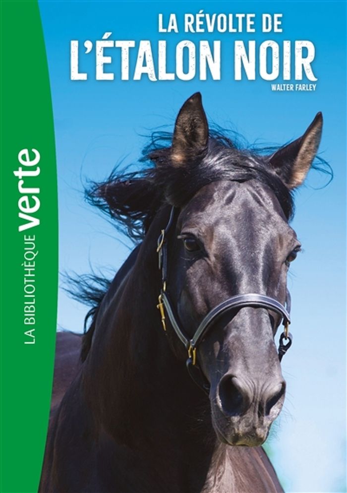 Couverture du livre « L'ETALON NOIR - T06 - L'ETALON NOIR 06 NED - LA REVOLTE DE L'ETALON NOIR » de Walter Farley, librairie Les Contes Infusés à Corte