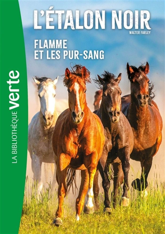 Couverture du livre « L'ETALON NOIR - T11 - L'ETALON NOIR NED 11 - FLAMME ET LES PUR-SANG » de Walter Farley, librairie Les Contes Infusés à Corte