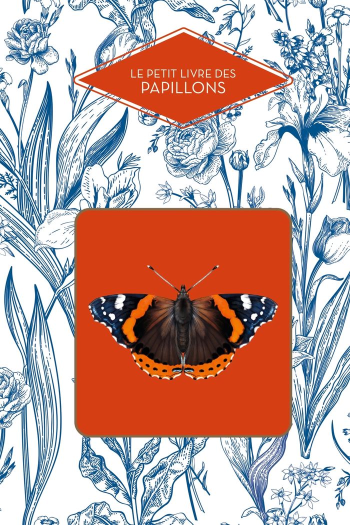 Couverture du livre « Le petit livre des papillons » de Michel Beauvais, librairie Les Contes Infusés à Corte