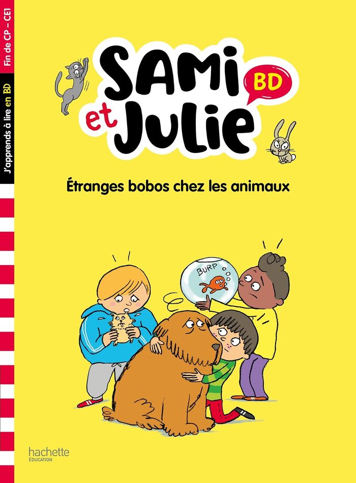 Couverture du livre « Étranges bobos chez les animaux » de Sandra Lebrun, librairie Les Contes Infusés à Corte