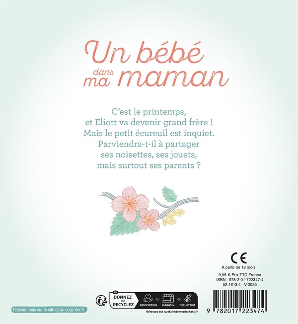 Quatrième de couverture de « Un bébé dans ma maman »