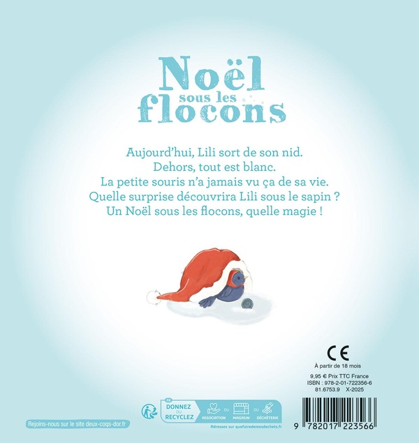 Quatrième de couverture de « Noël sous les flocons »