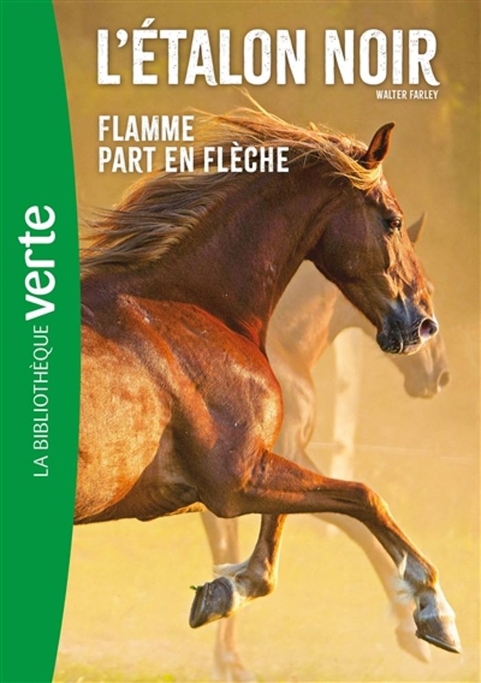 Couverture du livre « L'ETALON NOIR - T12 - L'ETALON NOIR NED 12- FLAMME PART EN FLECHE » de Walter Farley, librairie Les Contes Infusés à Corte