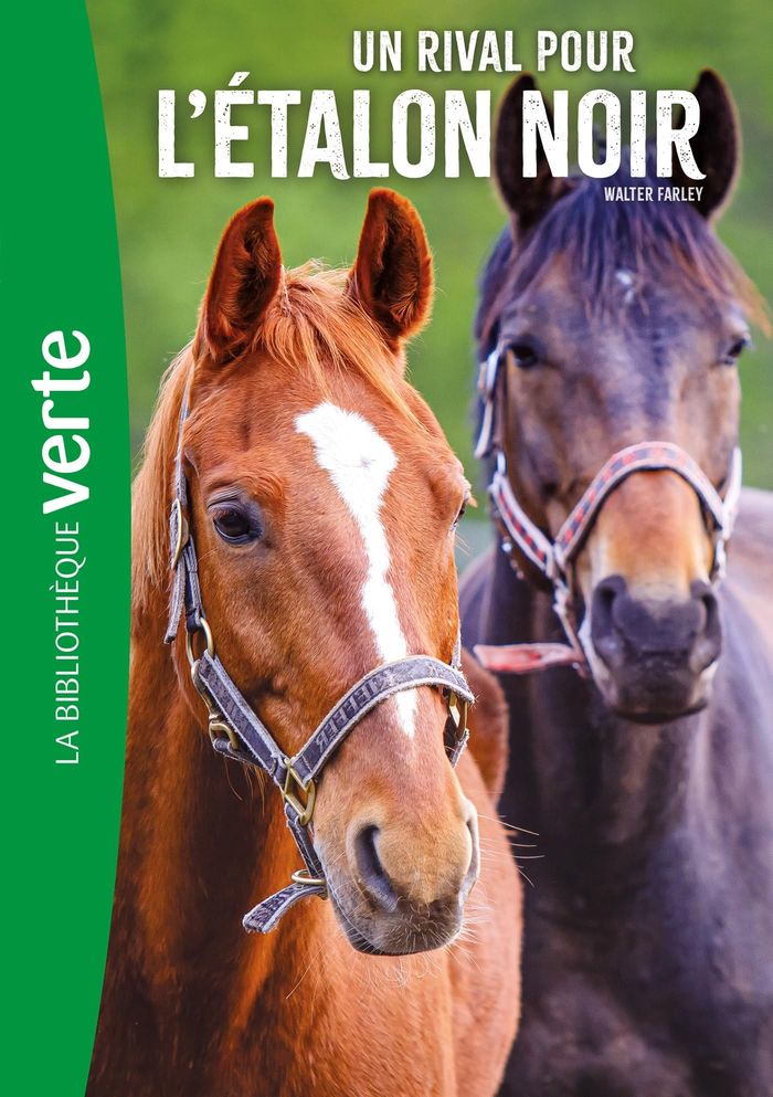 Couverture du livre « L'ETALON NOIR - T14 - L'ETALON NOIR 14 NED - UN RIVAL POUR L'ETALON NOIR » de Walter Farley, librairie Les Contes Infusés à Corte